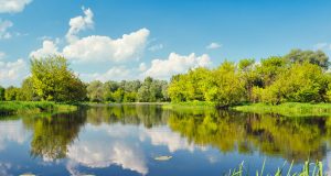 Multimedialna mozaika krajobrazów Polski na TT Warsaw